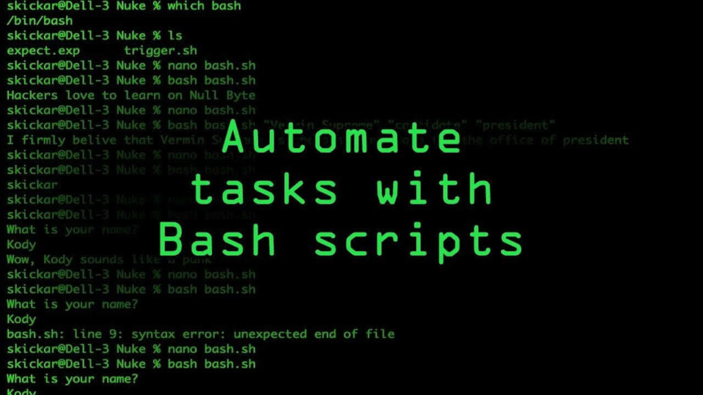 10 Bash Scripts đơn giản để tự động hóa và tăng tốc quy trình làm việc