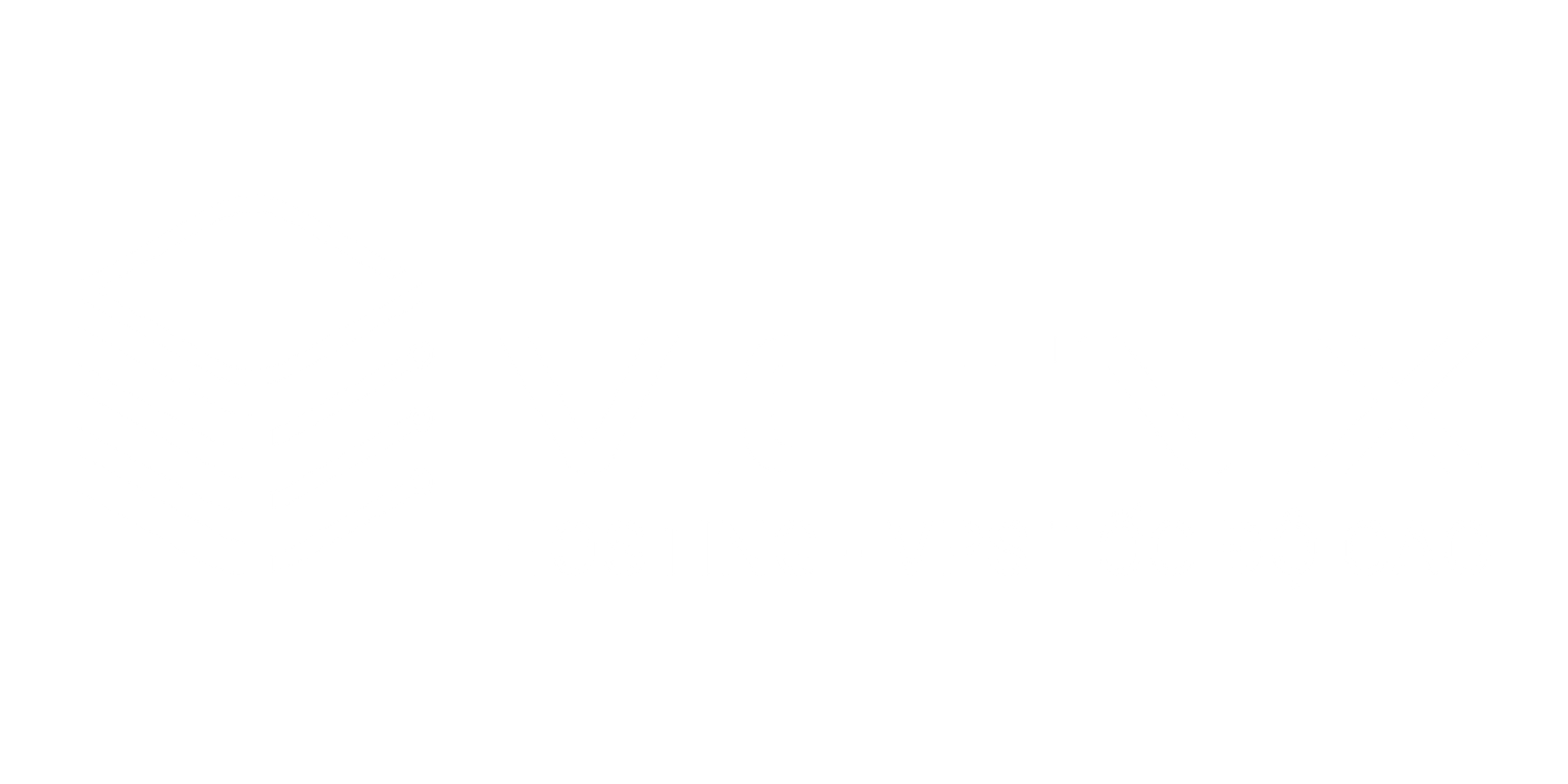 vietnix Logo Left
